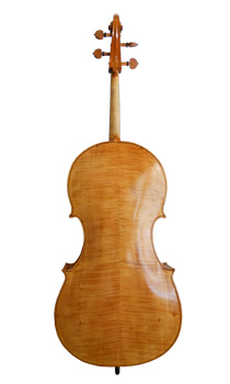 Majstorsko violončelo Stevana Rakića od nazad
