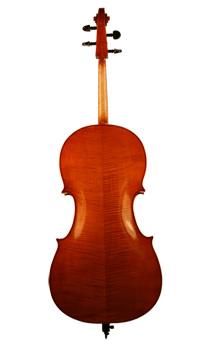 Stevan Rakić's master violoncello, back