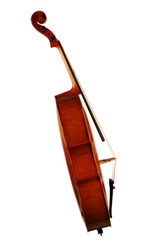 Majstorsko violončelo Stevana Rakića sa strane