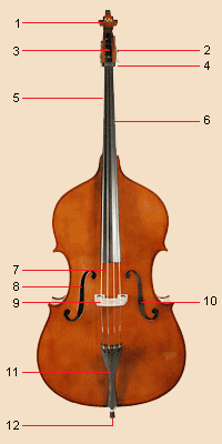 Kontrabas i oznake njegovih delova
