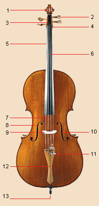 Violončelo i oznake njehovih delova