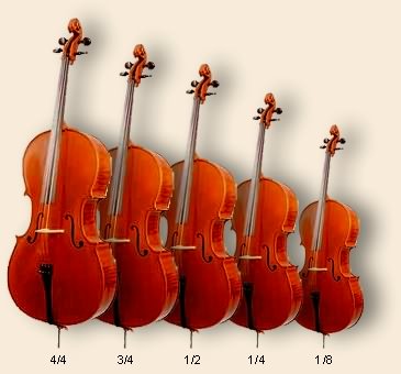 Violončela različitih veličina: 1/8, 1/4, 1/2, 3/4 i 4/4